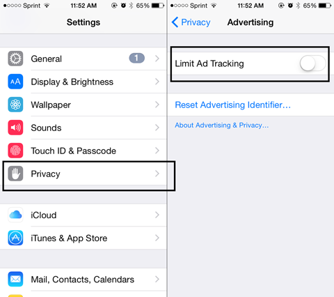 Screenshot of Apple iOS Privacy Settings